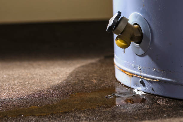 Best Flood restoration services  in Ahoskie, NC