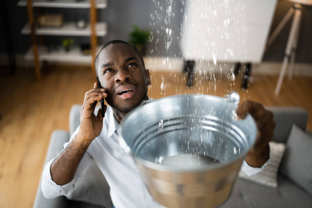 Best Sewage cleanup and water damage restoration  in Ahoskie, NC