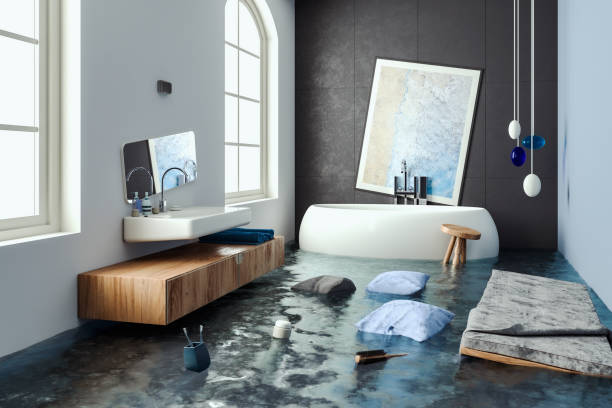 Best Professional water damage repair  in Ahoskie, NC
