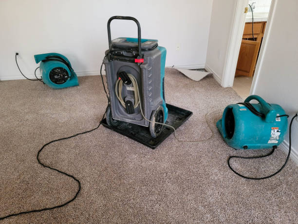 Best Flood damage cleanup  in Ahoskie, NC