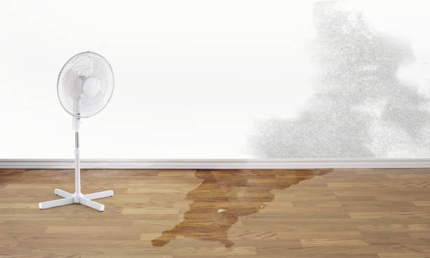 Best 24/7 water damage repair  in Ahoskie, NC