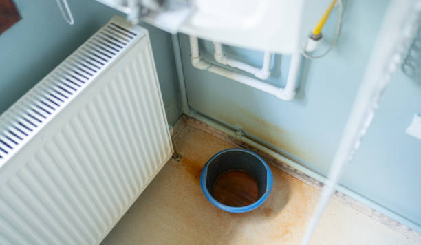 Best Local water damage restoration  in Ahoskie, NC