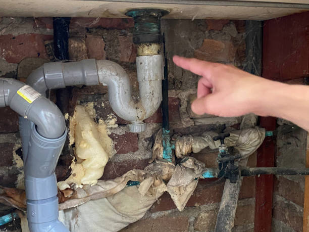 Best Water damage cleanup near me  in Ahoskie, NC