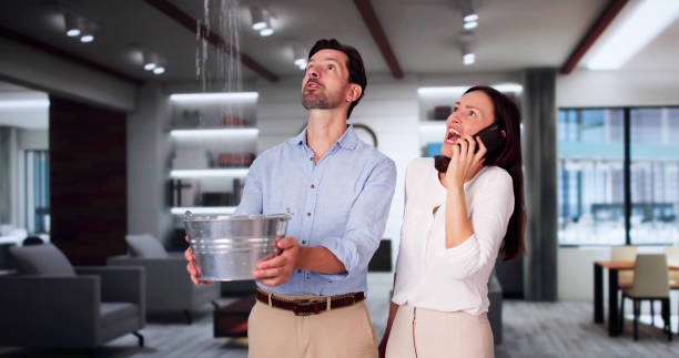 Best Mold removal after water damage  in Ahoskie, NC