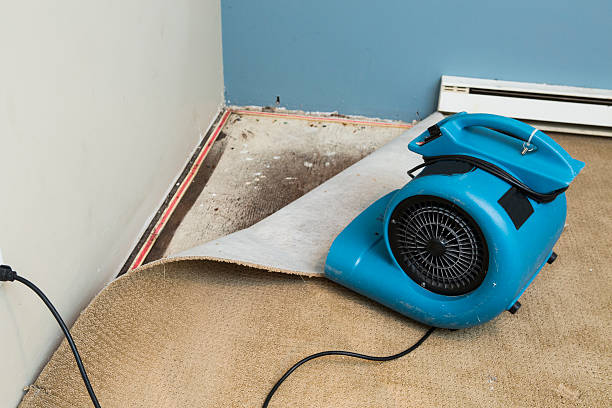 Best Flood damage cleanup  in Ahoskie, NC